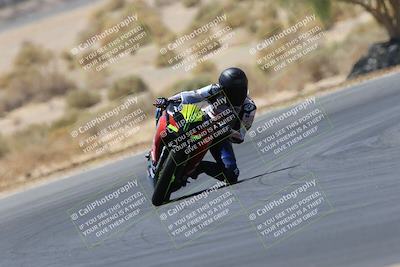 media/May-14-2023-SoCal Trackdays (Sun) [[024eb53b40]]/Turn 5 Tree of Life (1125am)/